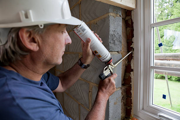 Best Wall Insulation Installation  in Honey Grove, TX