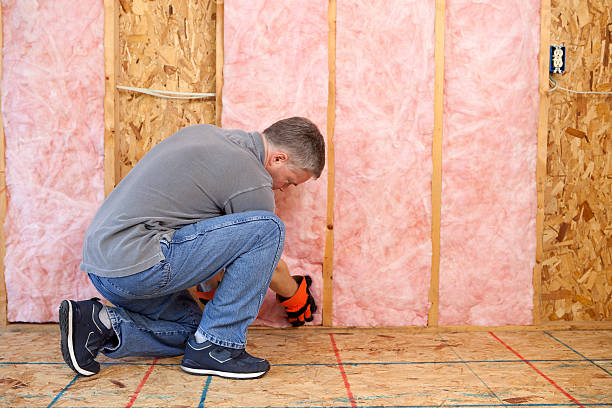 Best Insulation Air Sealing  in Honey Grove, TX